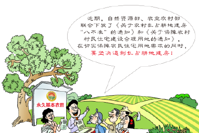 农村乱占耕地建房“八不准”（漫画）