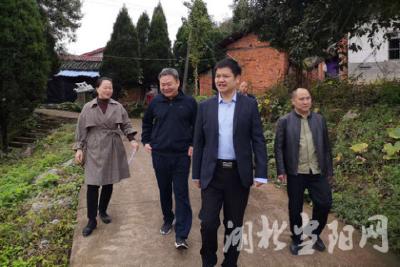 刘传钢检查指导庙前镇脱贫攻坚工作