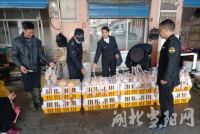 我市定点屠宰白条禽正式上市