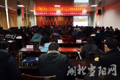 坝陵街道学习贯彻党的十九届五中全会精神