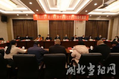 [聚焦两会]市八届人大七次会议代表分团审议《政府工作报告》