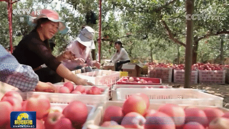 习近平总书记今年以来治国理政纪实