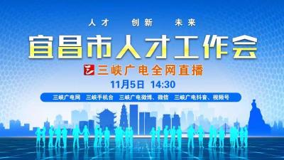 宜昌市人才工作会