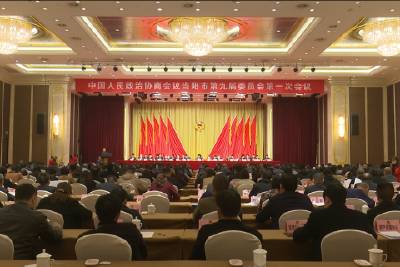 【两会进行时】政协当阳市第九届委员会第一次会议举行大会发言