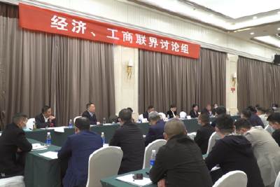 【两会进行时】市政协九届一次会议开展联组讨论