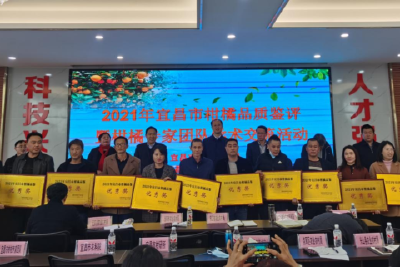 宜昌市柑橘品质鉴评我市柑橘喜获三奖