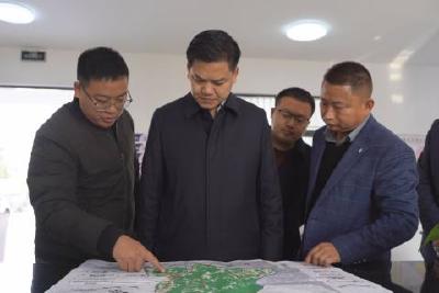 刘传钢到淯溪镇调研：擦亮“中国历史文化名镇”招牌