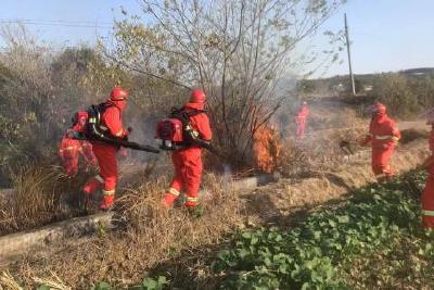 王店镇组织开展冬季森林防火应急演练