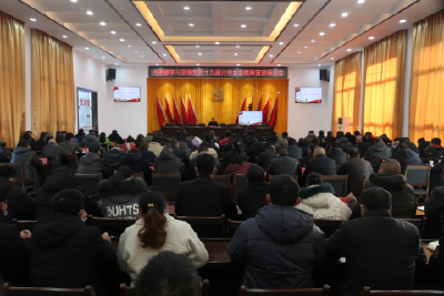 河溶镇召开学习贯彻党的十九届六中全会精神宣讲报告会