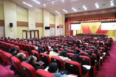 市公安局等单位召开学习贯彻党的十九届六中全会精神宣讲报告会