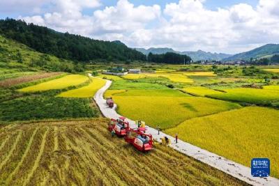 “让我们的制度成熟而持久”——“十个明确”彰显马克思主义中国化新飞跃述评之五