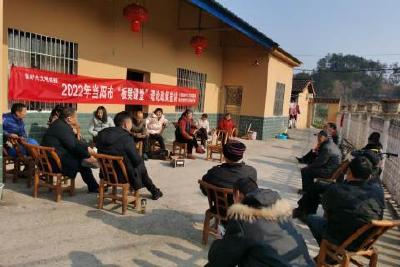 王店镇：话油茶产业发展 绘新店发展蓝图