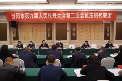 【聚焦人代会】市九届人大二次会议各代表团审议《政府工作报告》