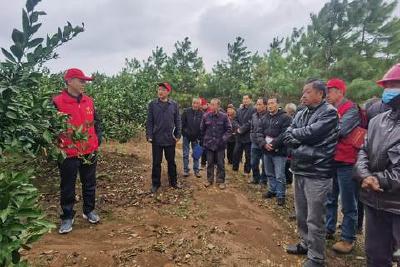 夯实链基 春来培训忙