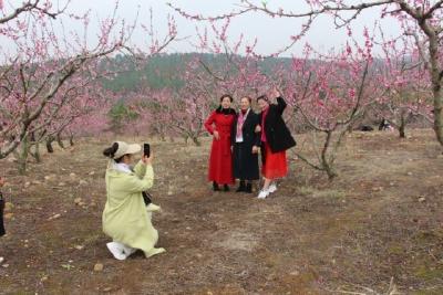 坝陵街道：鲁山桃花节邀您共赏满园春色