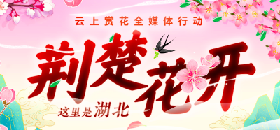 这里是湖北·荆楚花开