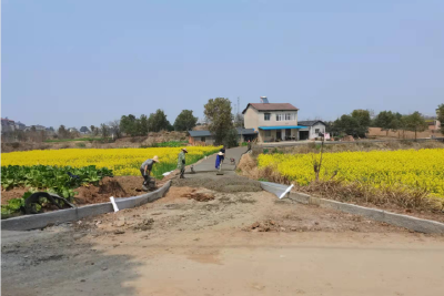 【我为群众办实事】王店镇：为民修路办实事 乡村振兴显担当