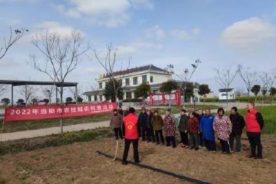 【精神文明创建活动宣传阐释·文明培育】两河镇：农技科普助力鱼腥草产业发展