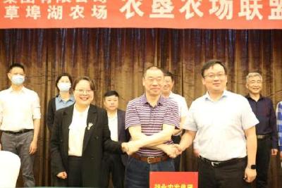 农垦农场联盟签约  助力乡村振兴