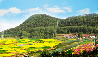 喜讯！当阳两村获2022年度“湖北省生态村”称号