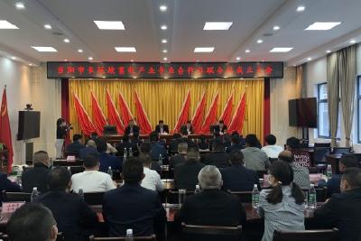 长坂坡畜牧产业专业合作社联合社成立并授牌