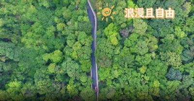 这个五一假期，这里我来定了！