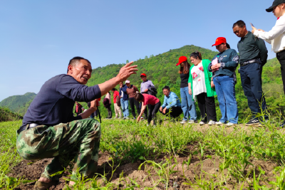产业培训助推乡村振兴