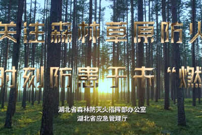 清明森林防火公益广告