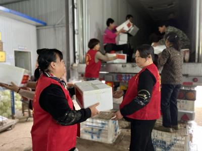 当阳河溶：同心战“疫” 为爱守“沪”