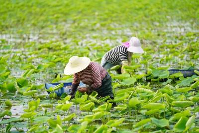 刚刚！当阳再上《新闻联播》