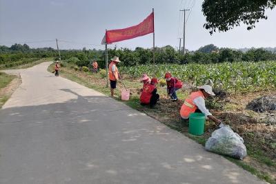 【清违行动】擦亮小城镇 乡村绽新颜