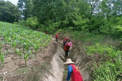 淯溪镇春新村开展清淤除障志愿者服务活动