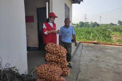 爱心帮售小土豆 入户走访暖民心