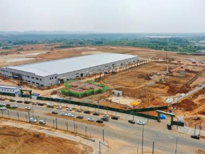 海量！高薪！速来！