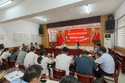 淯溪镇：主题党日“联”起来  组织生活“活”起来