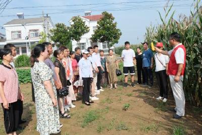 科普志愿服务队线上线下同步组织村民开展玉米草地贪夜蛾防控工作