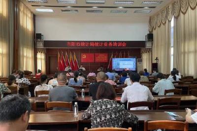 市统计局：强化依法统计 提升统计质效