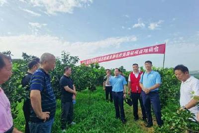 华中农业大学“乡村振兴荆楚行”活动在当阳开展