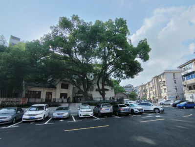 看不一样的TA！