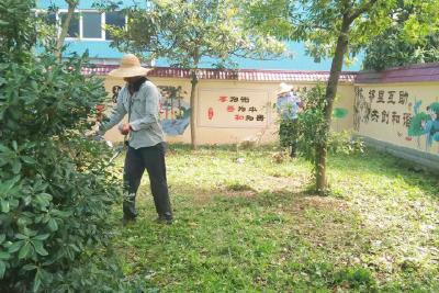 市税务局：修剪草坪绿篱，美化小区环境