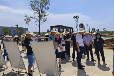宜昌市建筑业绿色发展调度会在当阳召开