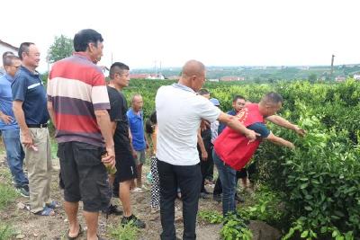 开展技术培训  助力乡村振兴