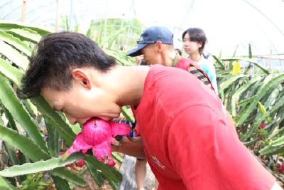 【精神文明创建活动宣传阐释·文明实践】王店镇严河村新时代文明实践站把科普课堂搬进田间地头