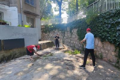 【垃圾分类我先行】市交通局：聚力“十不见” 家园变美看得见