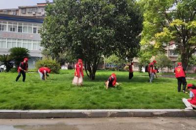 市农业农村局开展夏秋季爱国卫生运动