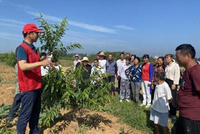 【精神文明创建活动宣传阐释·文明培育】玉阳街道窑湾村开展“瓜果套种”技术培训