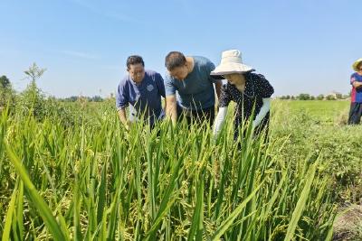 市融媒体中心：身入心到下基层  解决急难暖民心