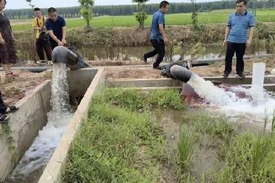 草埠湖镇：多措并举战“旱魔” 众志成城促丰收