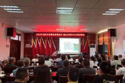 坝陵街道志愿服务乡村科普行