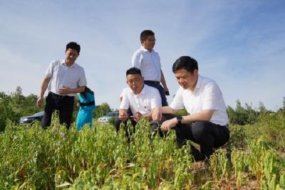 【下基层、察民情、解民忧、暖民心】刘传钢到玉阳街道金塔村、王店镇泉河村调研